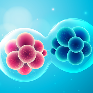 What Are STEM CELLS?