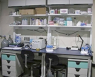 Cell culture room